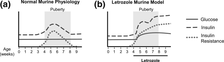 Figure 10.