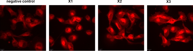 Fig. 7