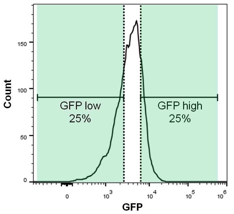 Figure 1—figure supplement 1.