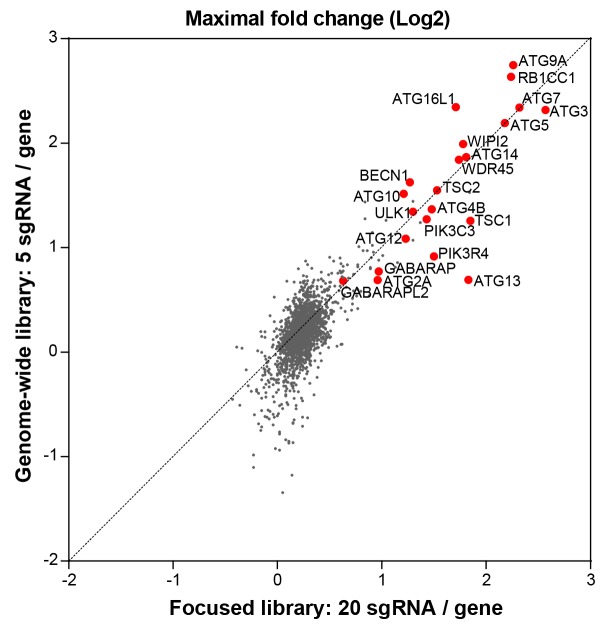 Figure 2—figure supplement 1.