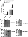FIG 1
