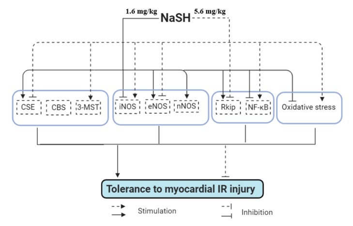 Figure 10