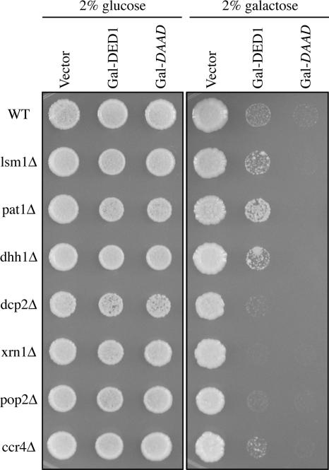 Figure 6.