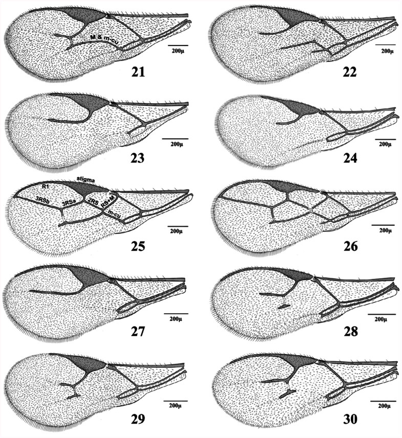 Figures 21–30. 