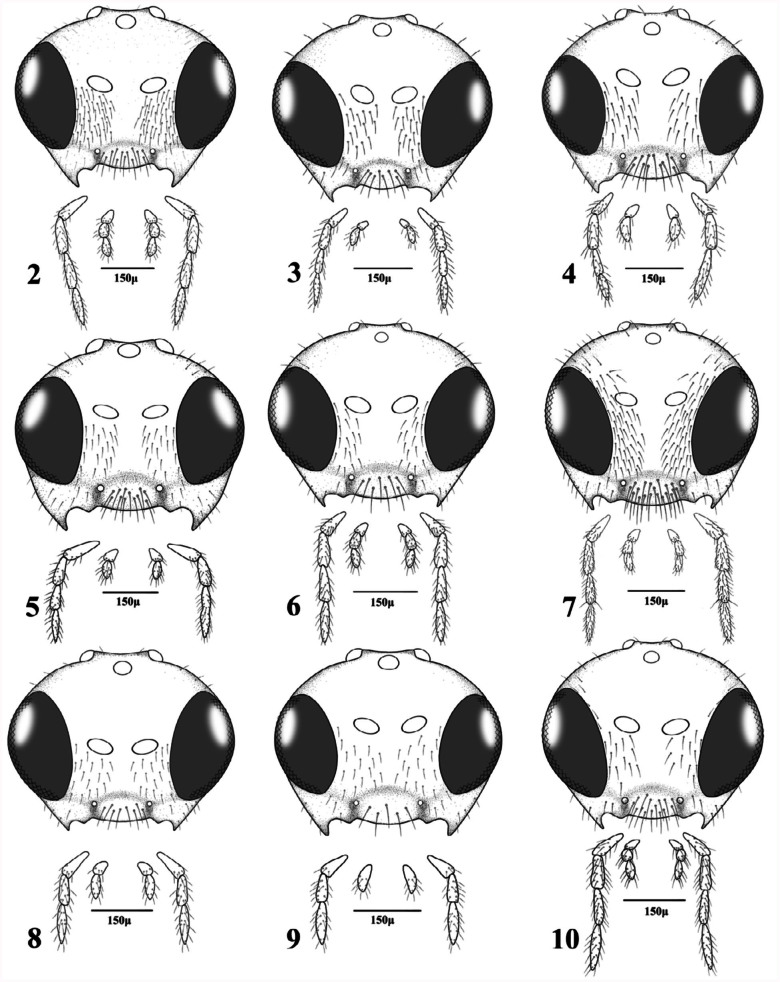 Figures 2–10. 