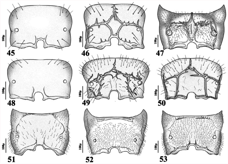 Figures 45–53. 