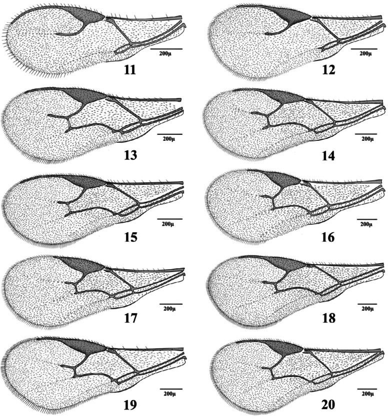 Figures 11–20. 