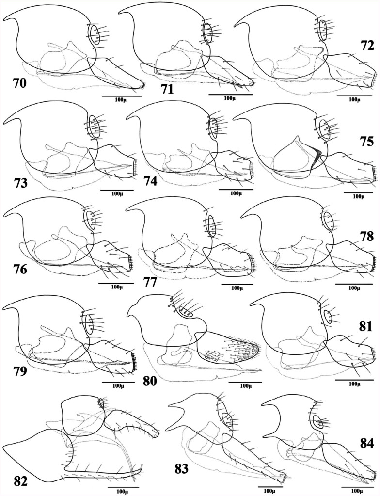 Figures 70–84. 