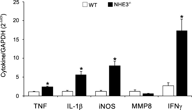 Fig. 6.