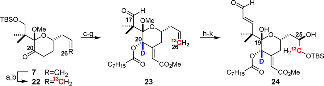 Scheme 4