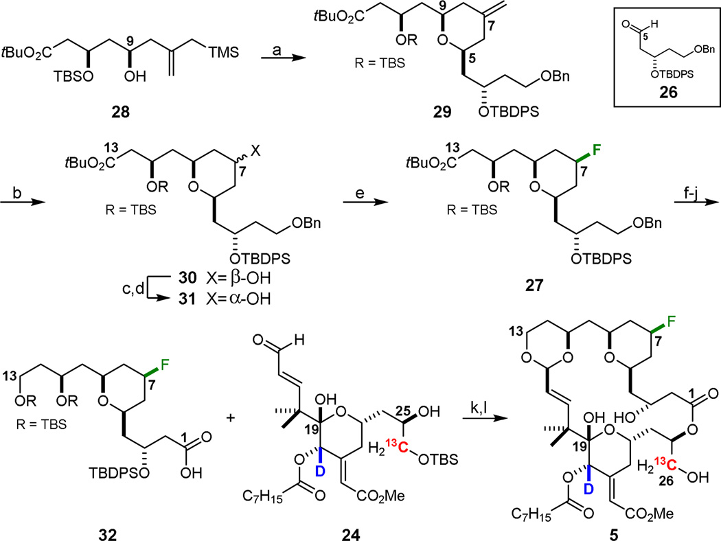 Scheme 6