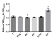 Figure 9.