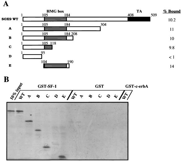 FIG. 5