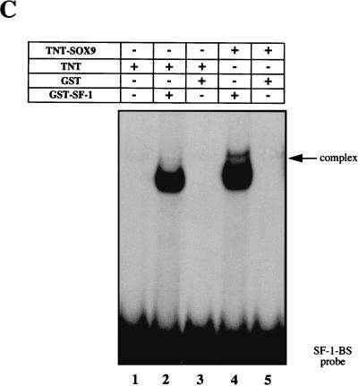 FIG. 5