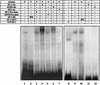 FIG. 6