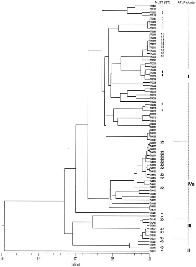 FIG. 1.