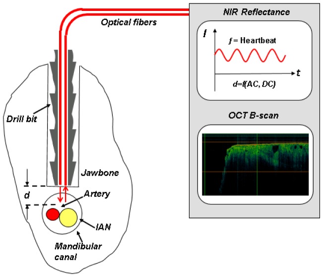 Fig. 2