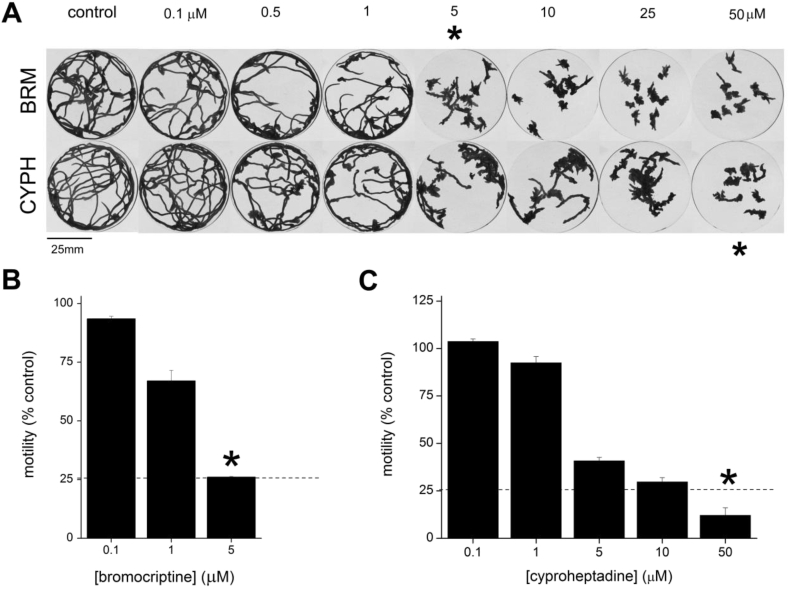 Fig. 2