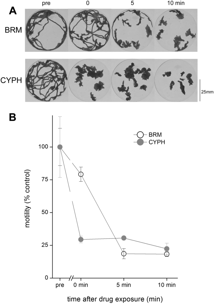 Fig. 4