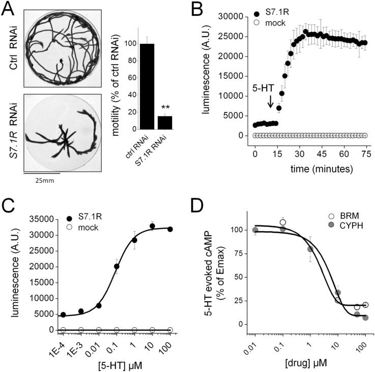 Fig. 1