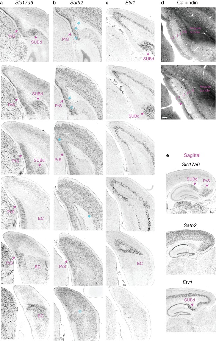 Figure 3—figure supplement 3.