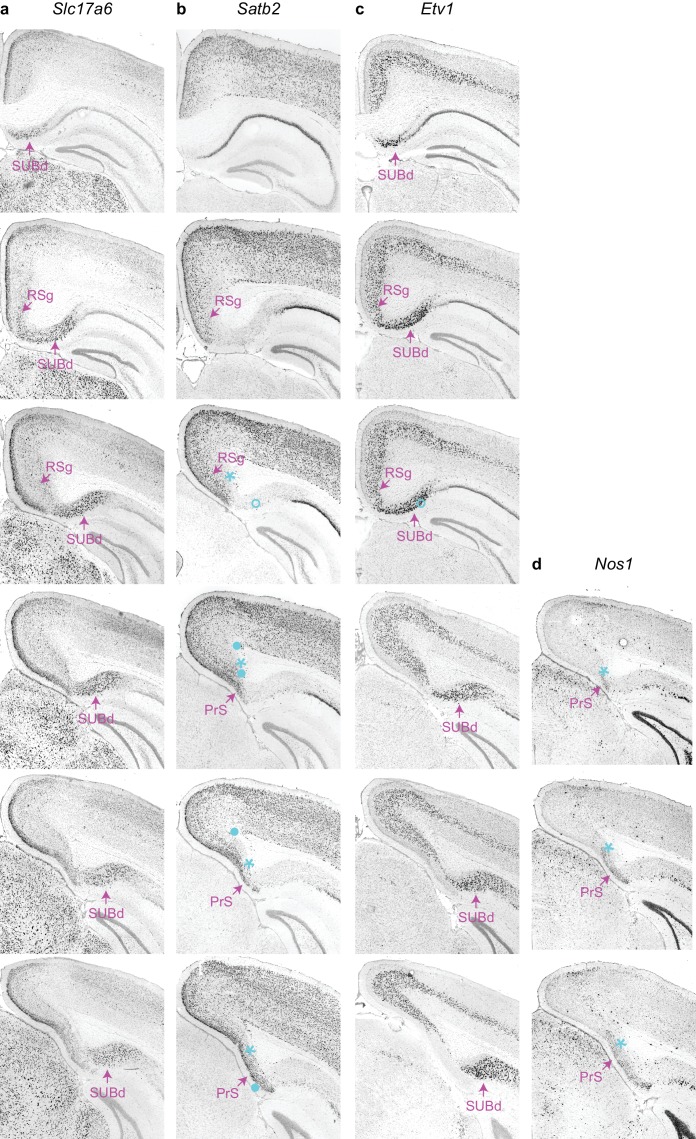 Figure 3—figure supplement 2.