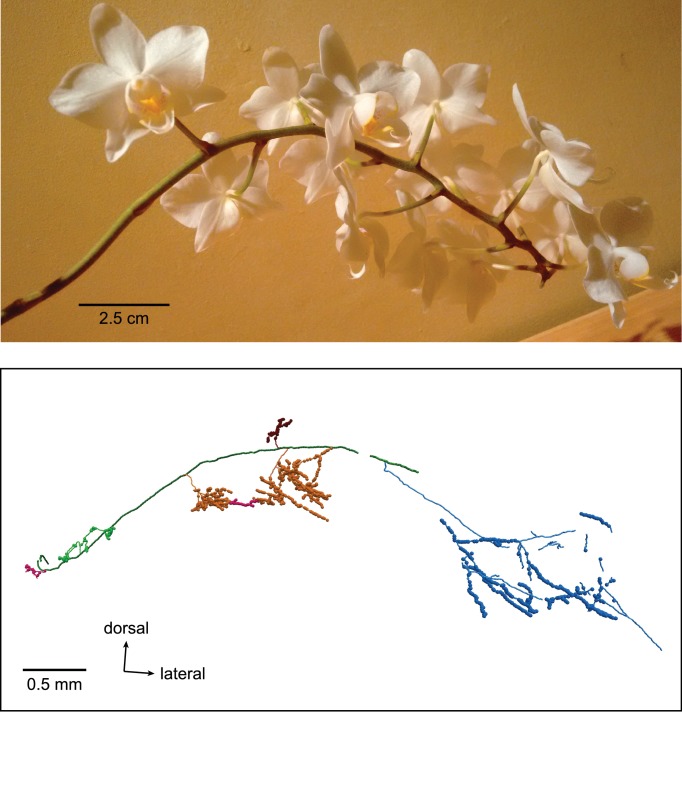 Figure 3—figure supplement 5.