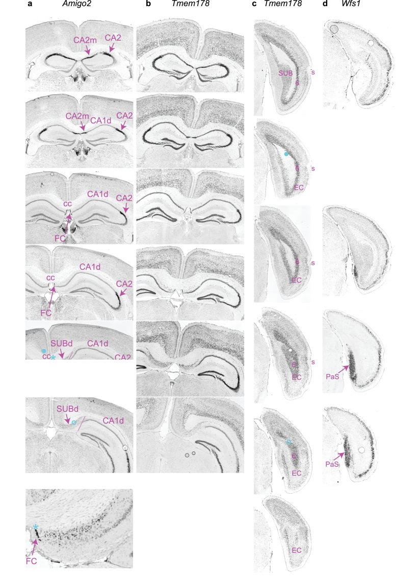 Figure 3—figure supplement 4.