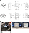 Figure 1—figure supplement 2.