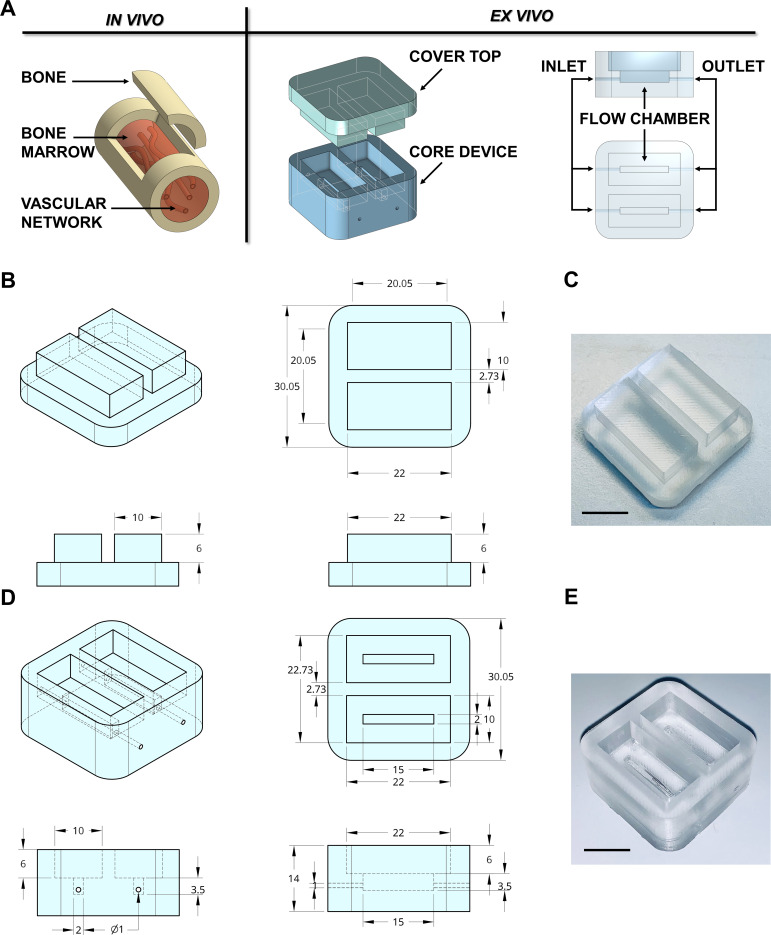 Figure 1.