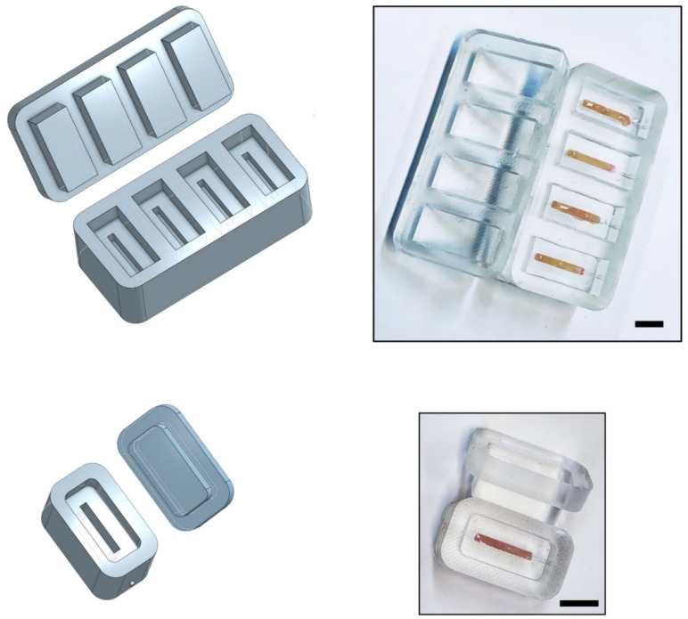 Figure 1—figure supplement 1.