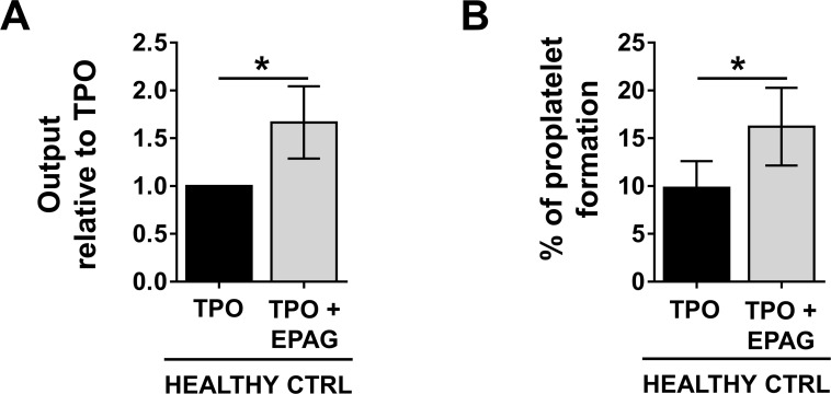 Figure 3—figure supplement 1.