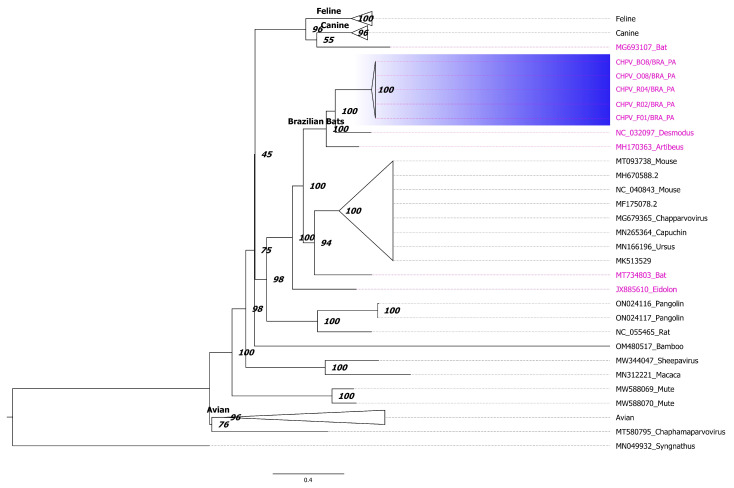 Figure 2