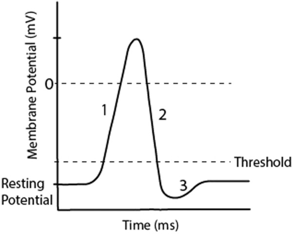 FIGURE 2