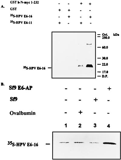 Figure 8