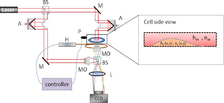 Fig. 1