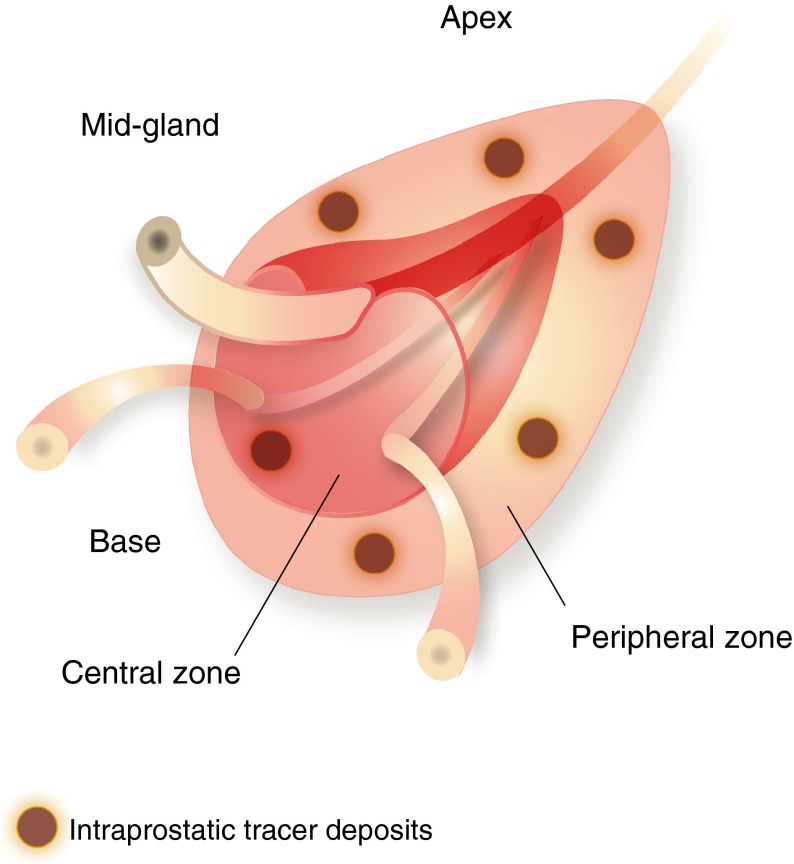 Fig. 3