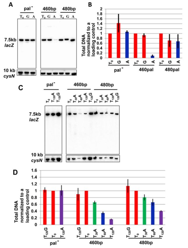 Figure 5.