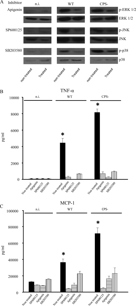 FIG. 8.