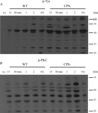 FIG. 6.