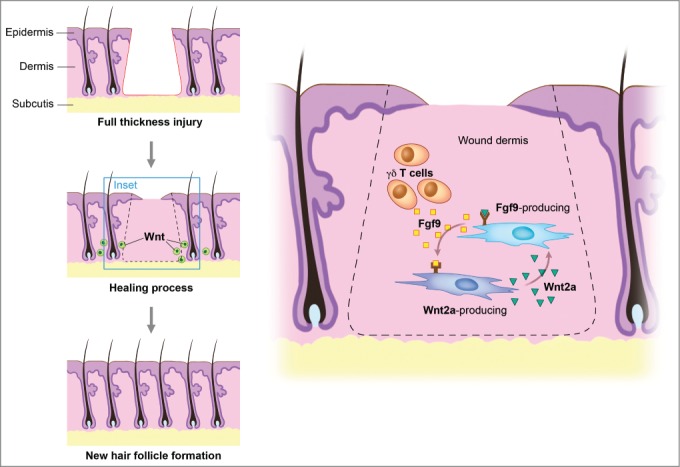 Figure 2.