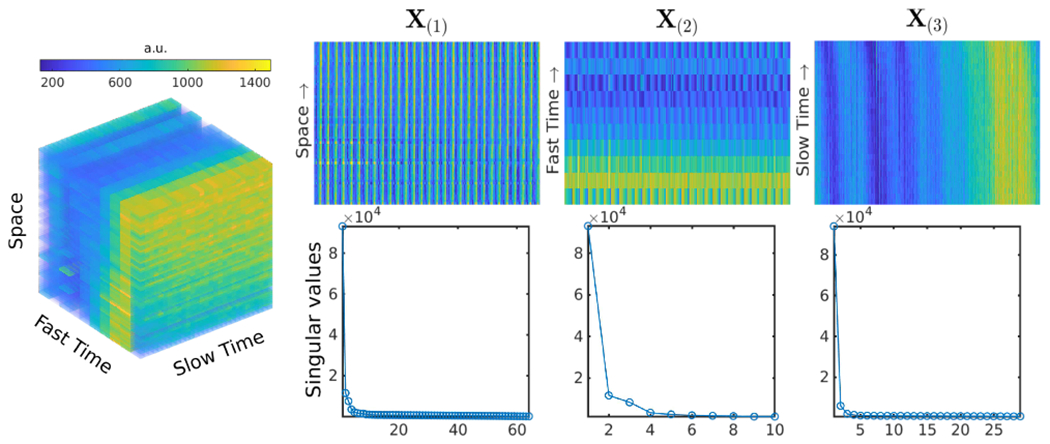 Fig. 2.