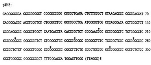 graphic file with name oncotarget-07-2433-g007.jpg