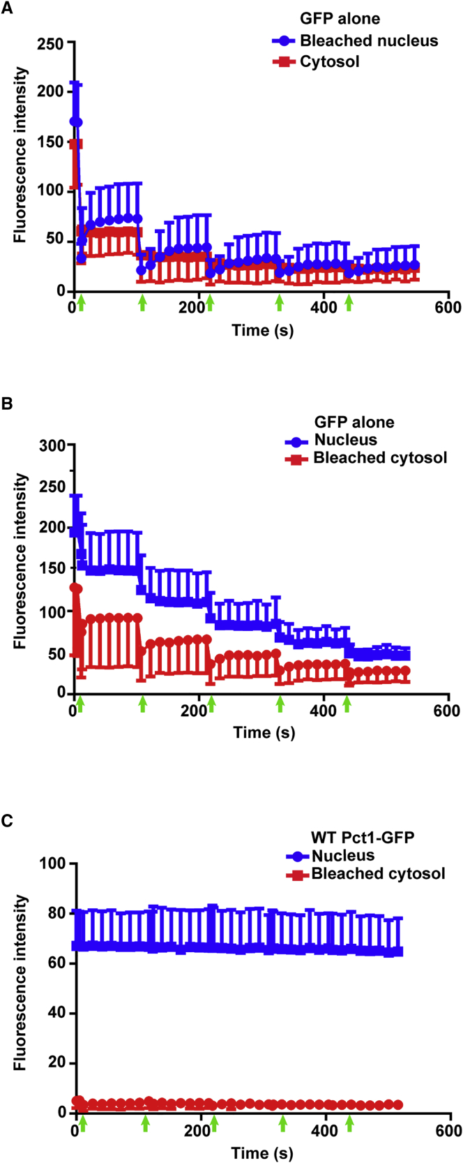 Figure 4