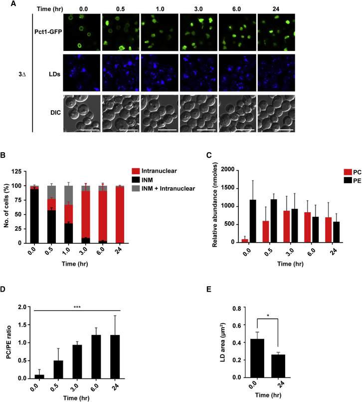 Figure 5