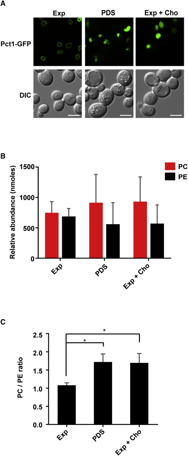 Figure 3