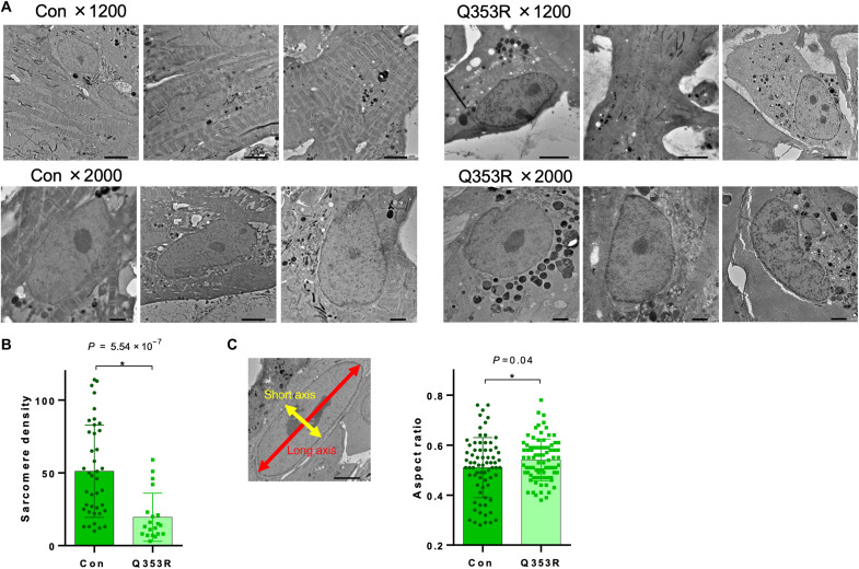 Fig. 4.