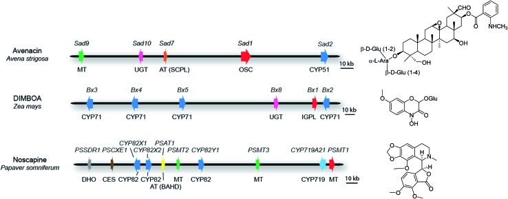 Fig. 3