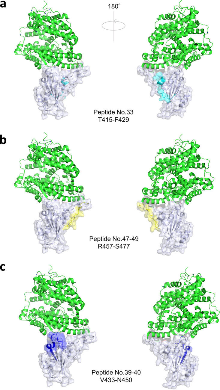 FIG 4