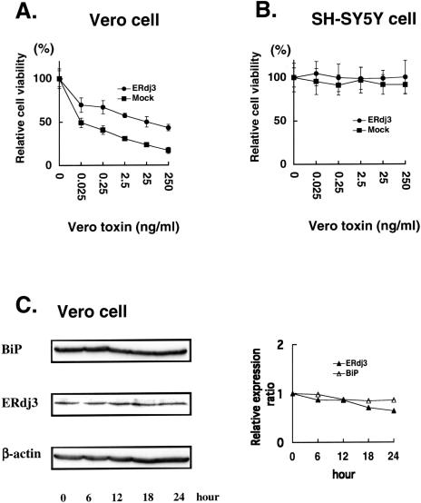 Fig 3.